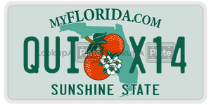 QUIX14 license plate in Florida