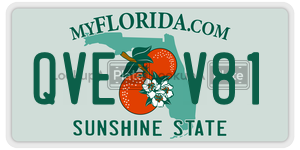 QVEV81  license plate in FL