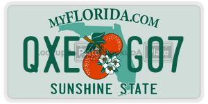 QXEG07  license plate in FL