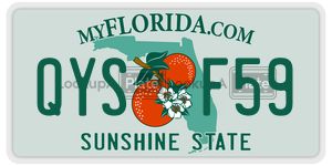 QYSF59 license plate in Florida