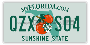 QZXS04  license plate in FL