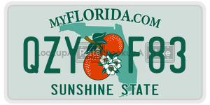 QZYF83  license plate in FL