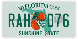 RAHD76  license plate in FL