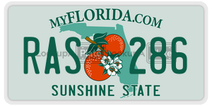 RAS286  license plate in FL