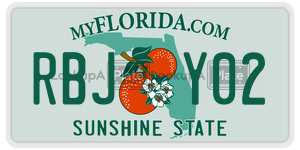 RBJY02 license plate in Florida