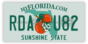 RDAU82  license plate in FL
