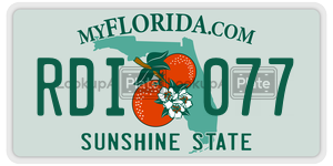 RDI077 license plate in Florida