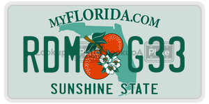 RDMG33  license plate in FL