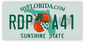 RDPA41 license plate in Florida
