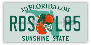 RDSL85  license plate in FL
