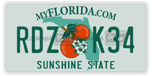 RDZK34  license plate in FL