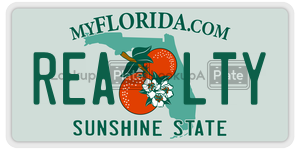 REALTY  license plate in FL