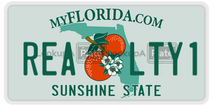 REALTY1  license plate in FL