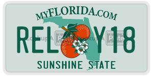 RELY18  license plate in FL