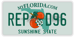 REPD96 license plate in Florida