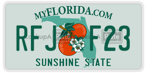 RFJF23  license plate in FL