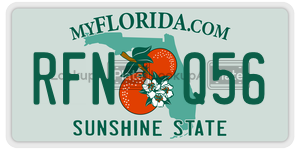 RFNQ56  license plate in FL