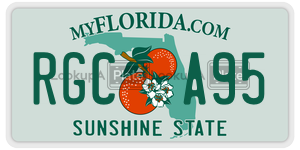 RGCA95  license plate in FL