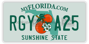 RGYA25  license plate in FL