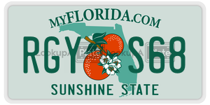 RGYS68  license plate in FL