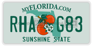 RHAG83 license plate in Florida