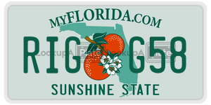 RIGG58 license plate in Florida