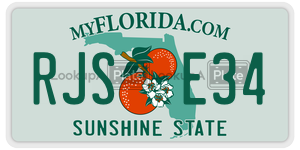 RJSE34  license plate in FL