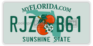 RJZB61  license plate in FL