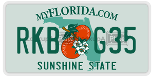 RKBG35 license plate in Florida