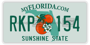 RKP154 license plate in Florida