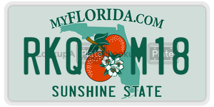 RKQM18 license plate in Florida