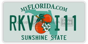 RKVI11  license plate in FL