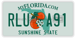 RLUA91  license plate in FL