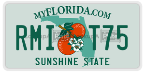 RMIT75  license plate in FL