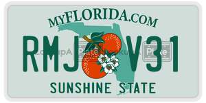 RMJV31 license plate in Florida