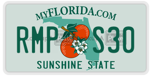 RMPS30  license plate in FL