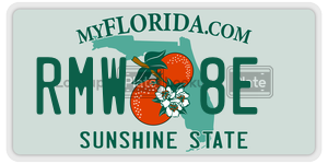 RMW8E  license plate in FL