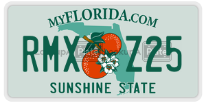 RMXZ25 license plate in Florida