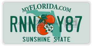 RNNY87  license plate in FL