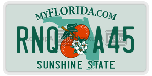 RNQA45 license plate in Florida