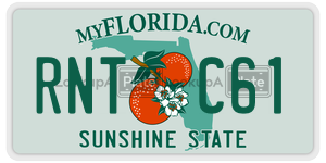 RNTC61 license plate in Florida