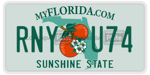 RNYU74 license plate in Florida