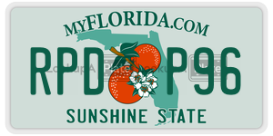 RPDP96 license plate in Florida