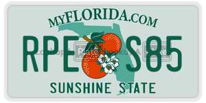 RPES85  license plate in FL