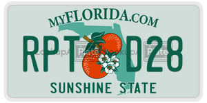 RPTD28 license plate in Florida