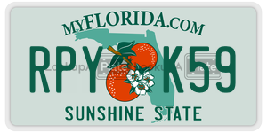 RPYK59 license plate in Florida