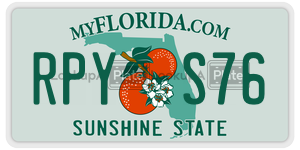 RPYS76  license plate in FL