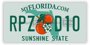 RPZD10  license plate in FL