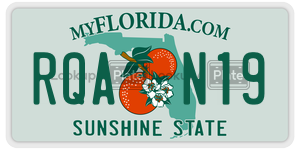 RQAN19  license plate in FL
