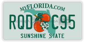 RQDC95 license plate in Florida